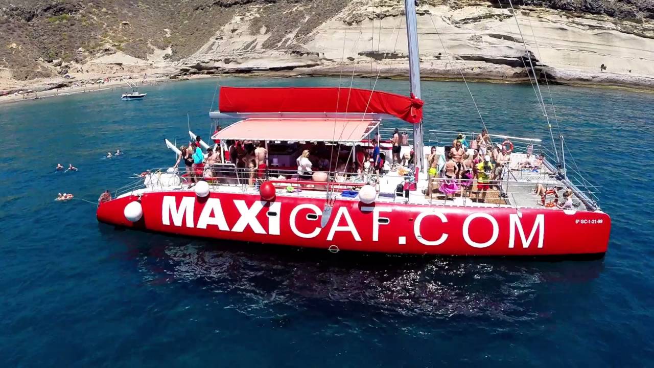 Maxicat, Whales Watching Tenerife, boat trips